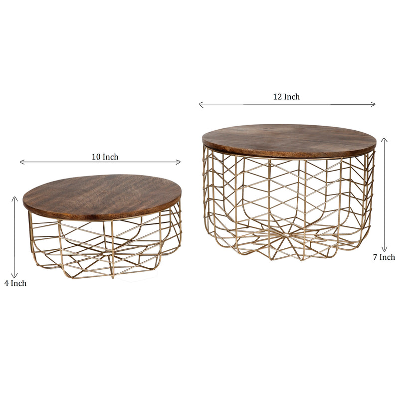 Metal Wire Fruit/Veggie/Multipurpose Basket With Wooden Lid By Fita