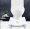 Perfect Squat Potty Step Stool For Western Toilet Commode Chair (White) bY CN