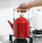 Hot Water, Tea Kettle Japanese Style Enamel 2.4 L Induction & Gas Stove Teapot Kettle