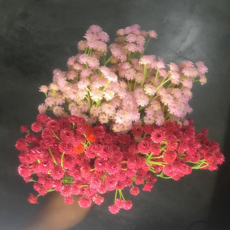 Artificial Gypsophila Flower Bunch For Home Decoration/Prop  -1 Bunch
