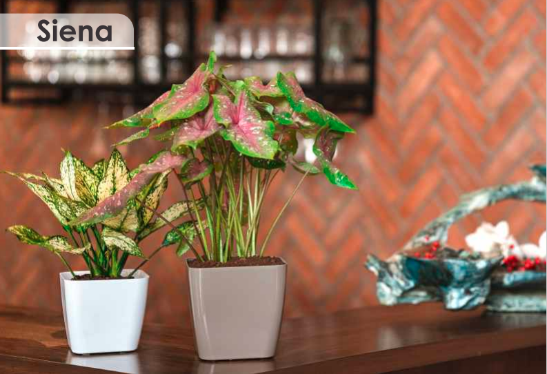 Siena Planter For Indoor Or Outdoor ( Multicolor ) By Harshdeep