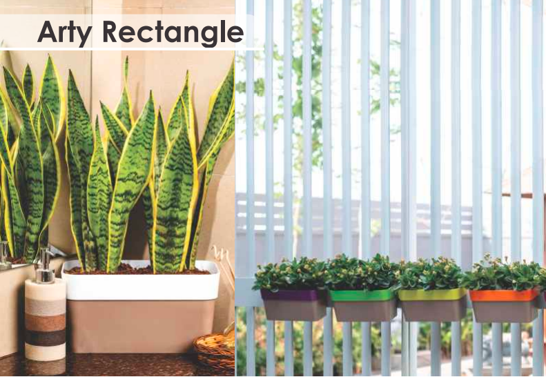 Arty Rectangle Planter For Indoor Or Outdoor ( Multicolor ) By Harshdeep
