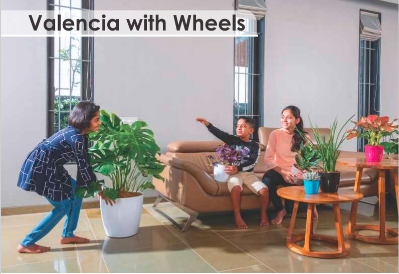 Valencia With Wheels Planter For Indoor Or Outdoor ( Multicolor ) By Harshdeep