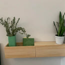 Wooden Wall Floating Modern Shelf/Wall Mounted Planter Shelf Storage By Miza
