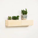 Wooden Wall Floating Modern Shelf/Wall Mounted Planter Shelf Storage ( With Complementary Coaster ) By Miza